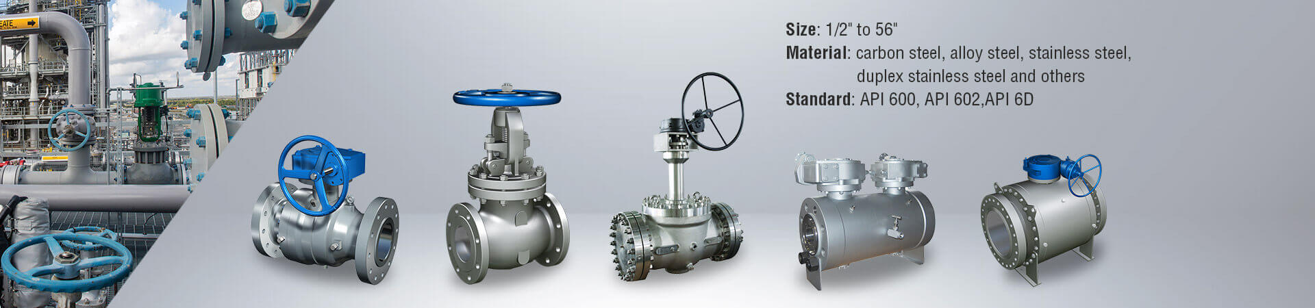 Valve & Strainer